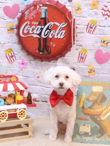 20230912ネネちゃん